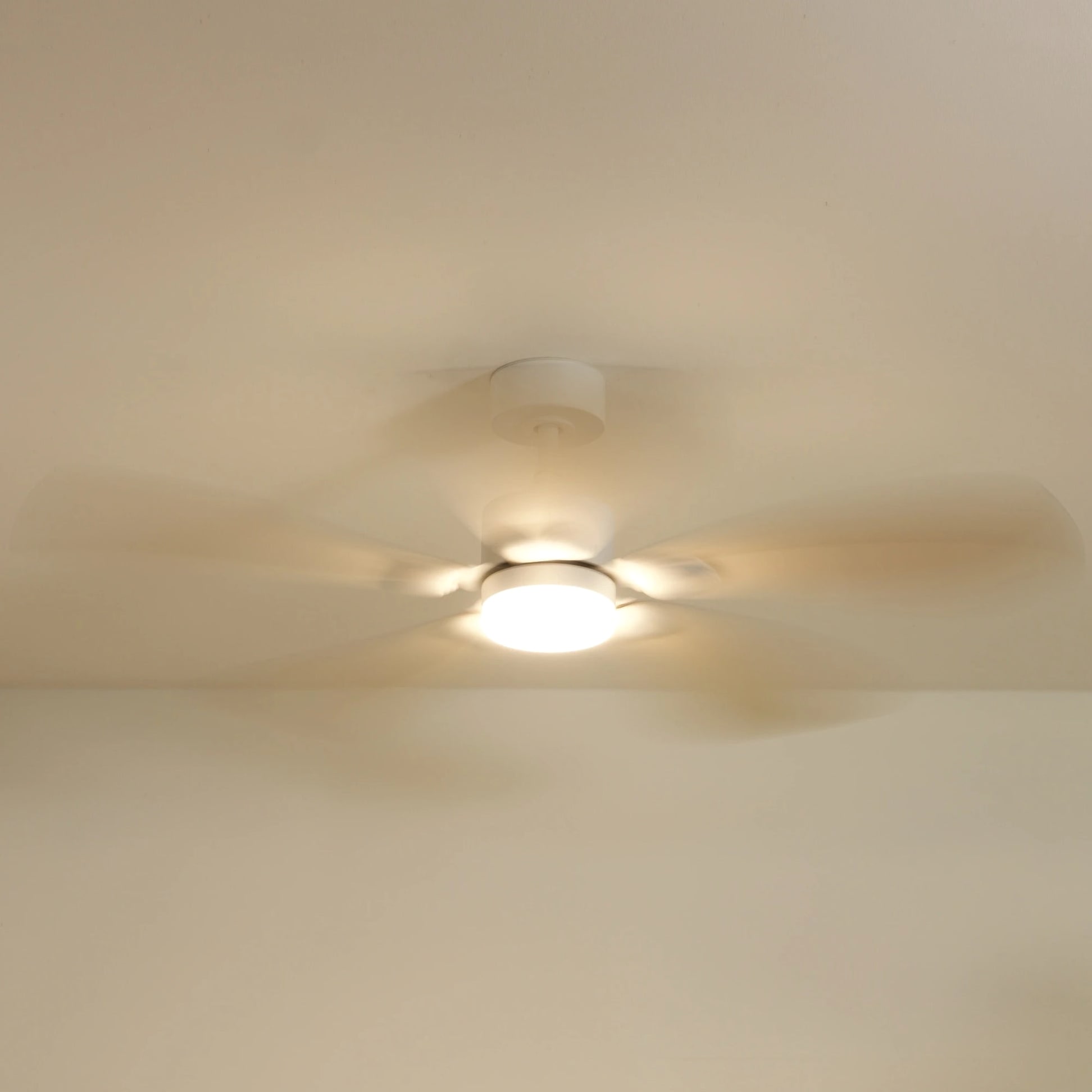 Libellule | Ventilateur de plafond