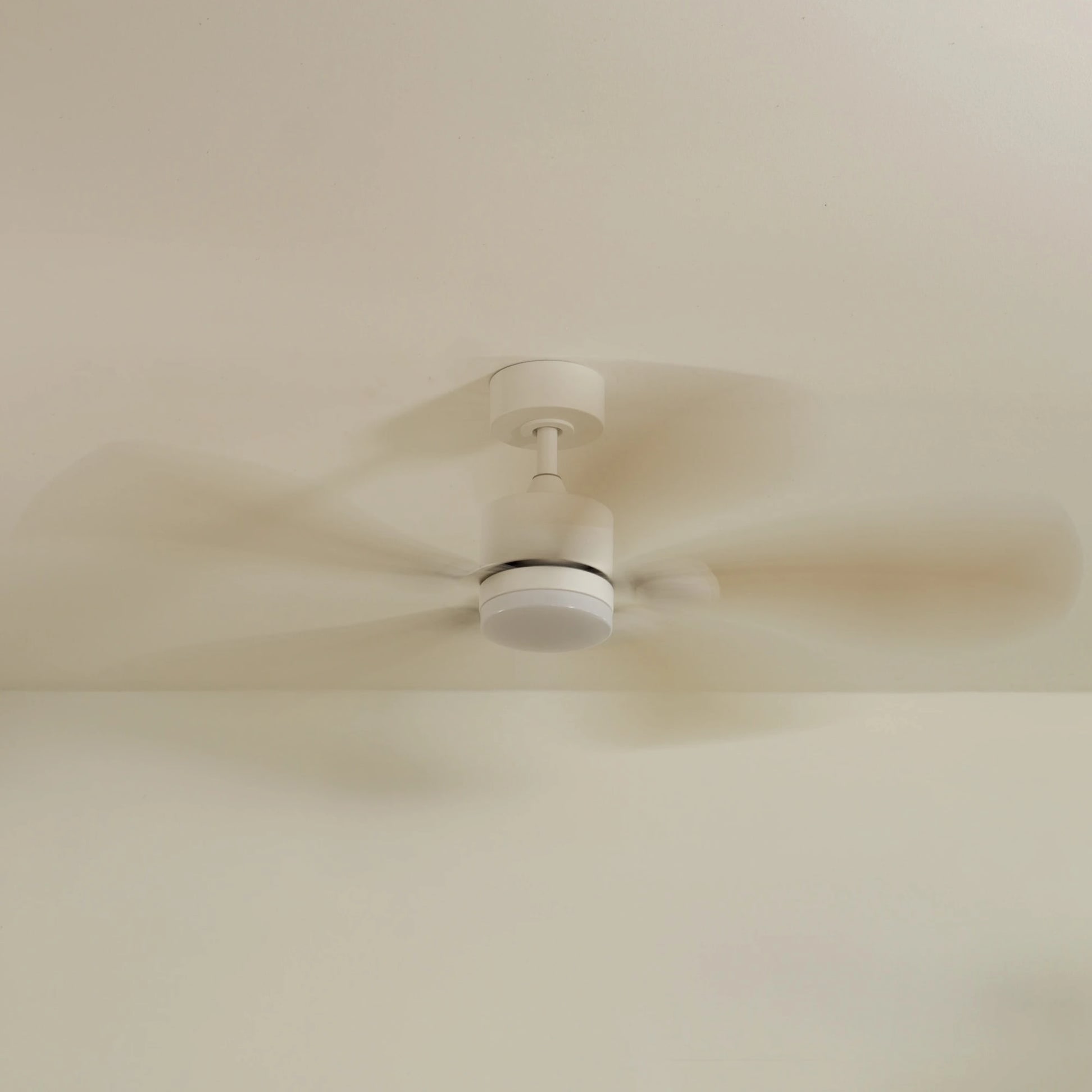 Libellule | Ventilateur de plafond