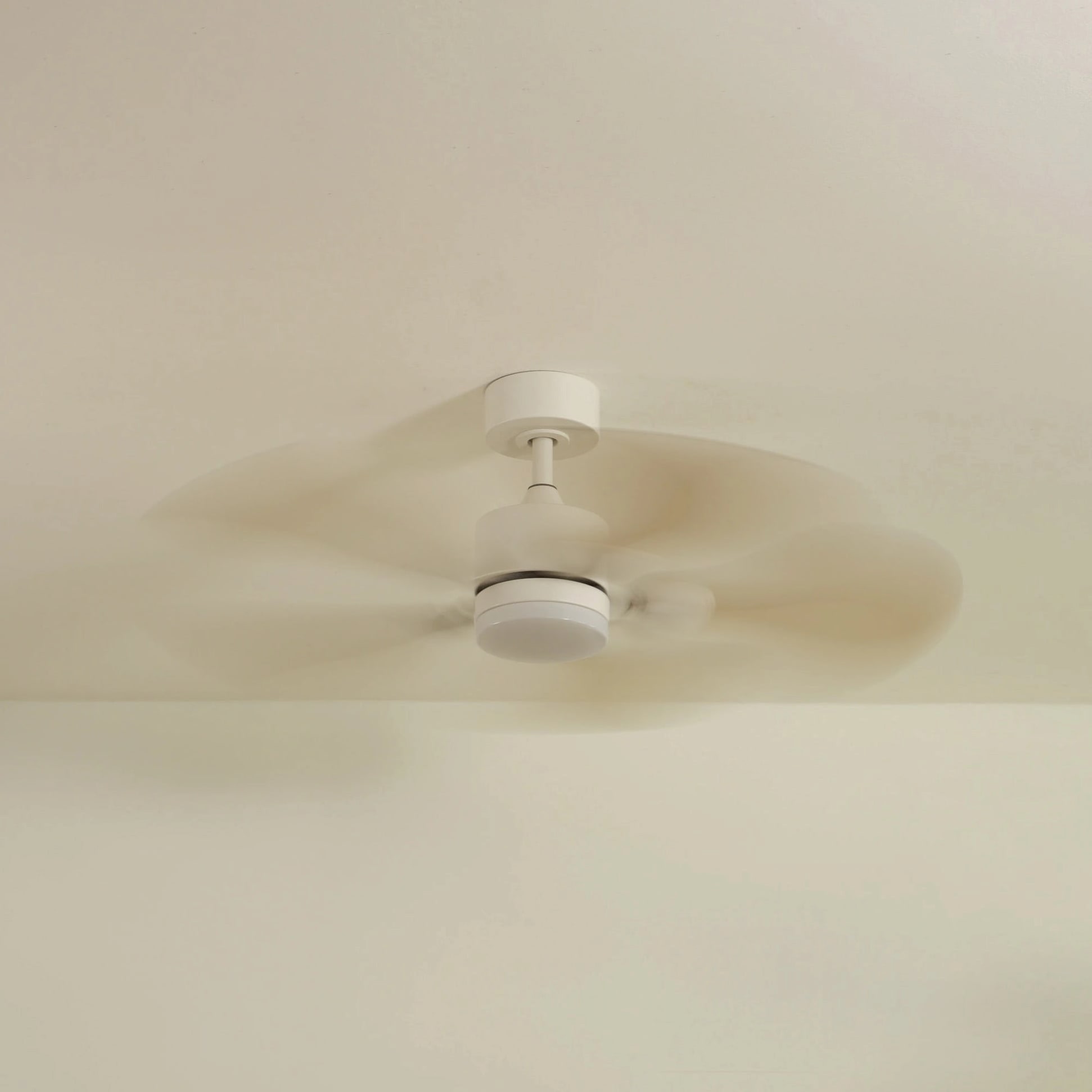 Anémone | Ventilateur de plafond