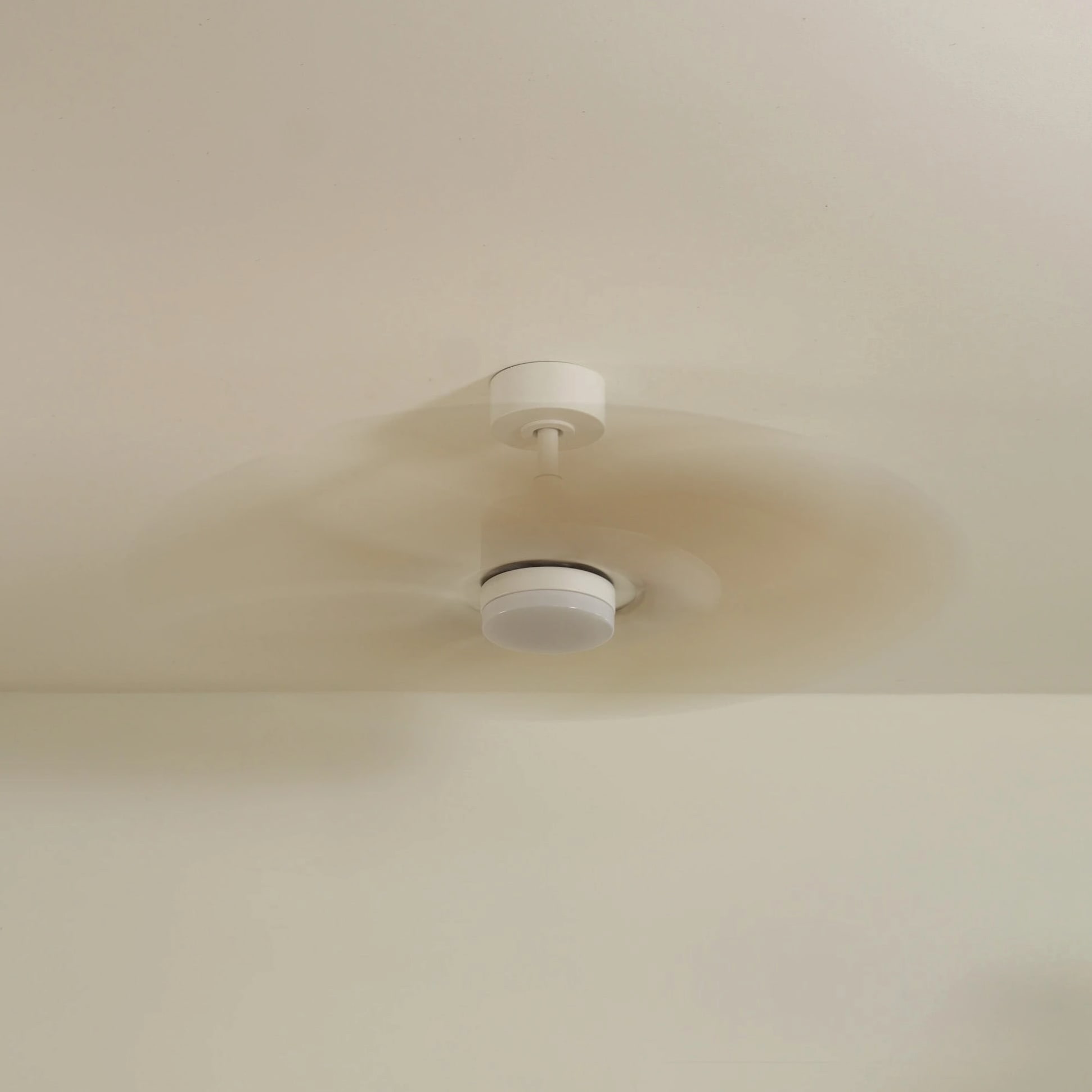 Dahlia | Ventilateur de plafond