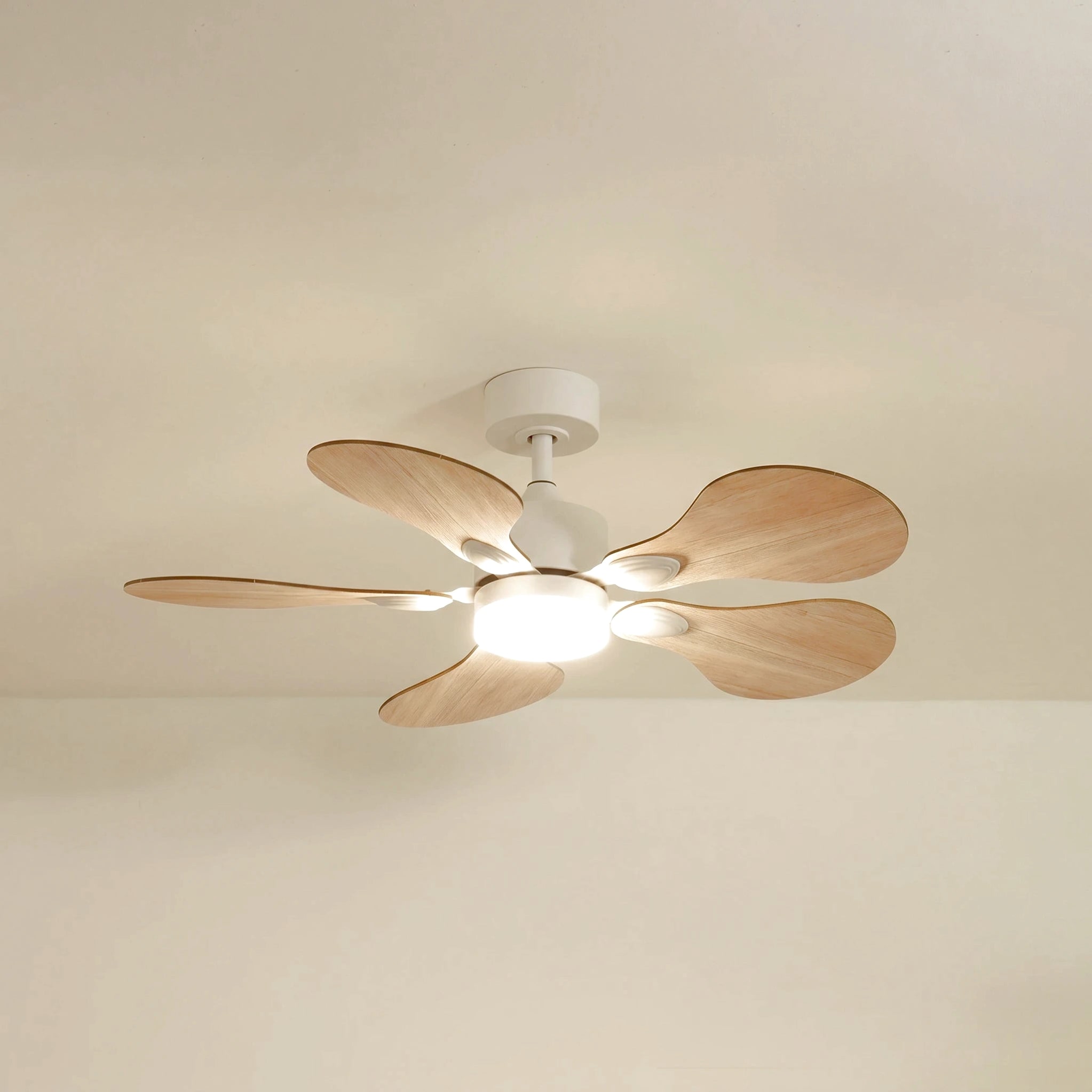 Anémone teinté Chêne | Ventilateur de plafond