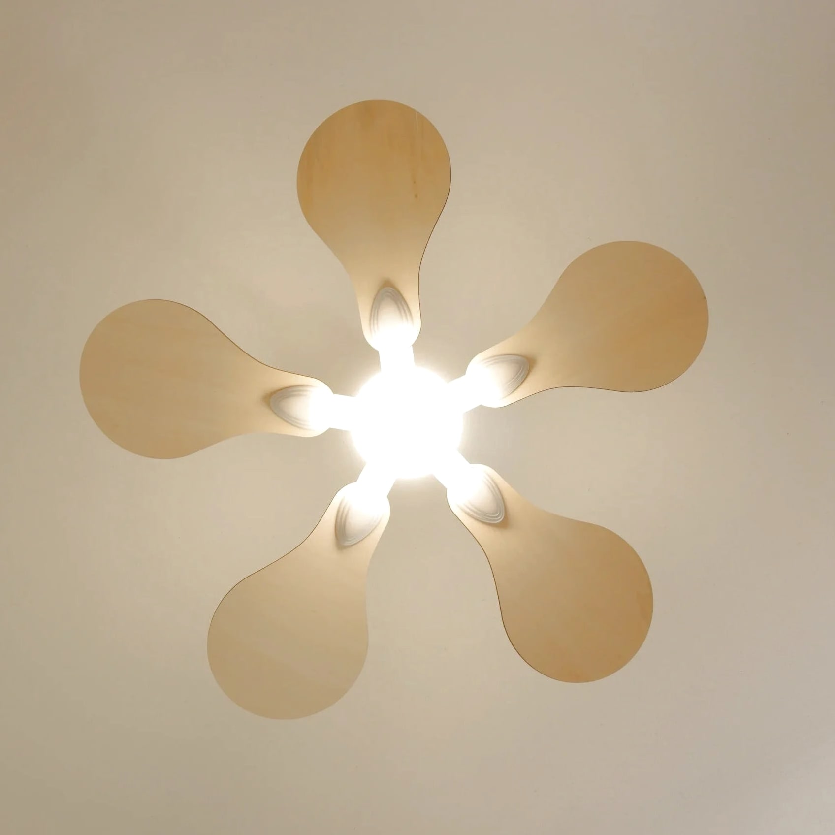 Anémone | Ventilateur de plafond