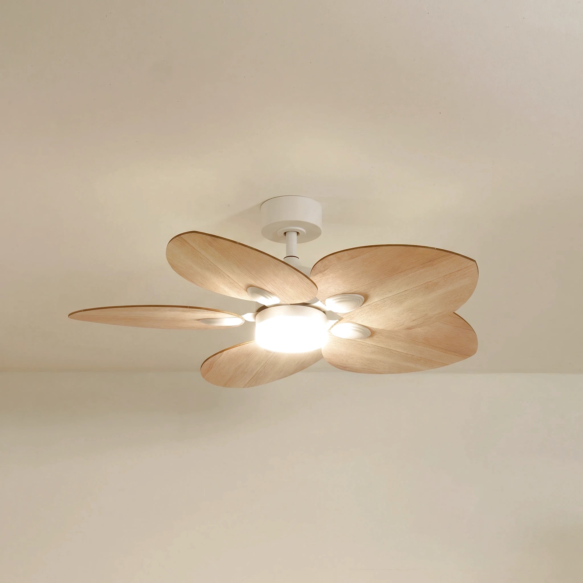 Ventilateurs