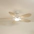 Libellule | Ventilateur de plafond