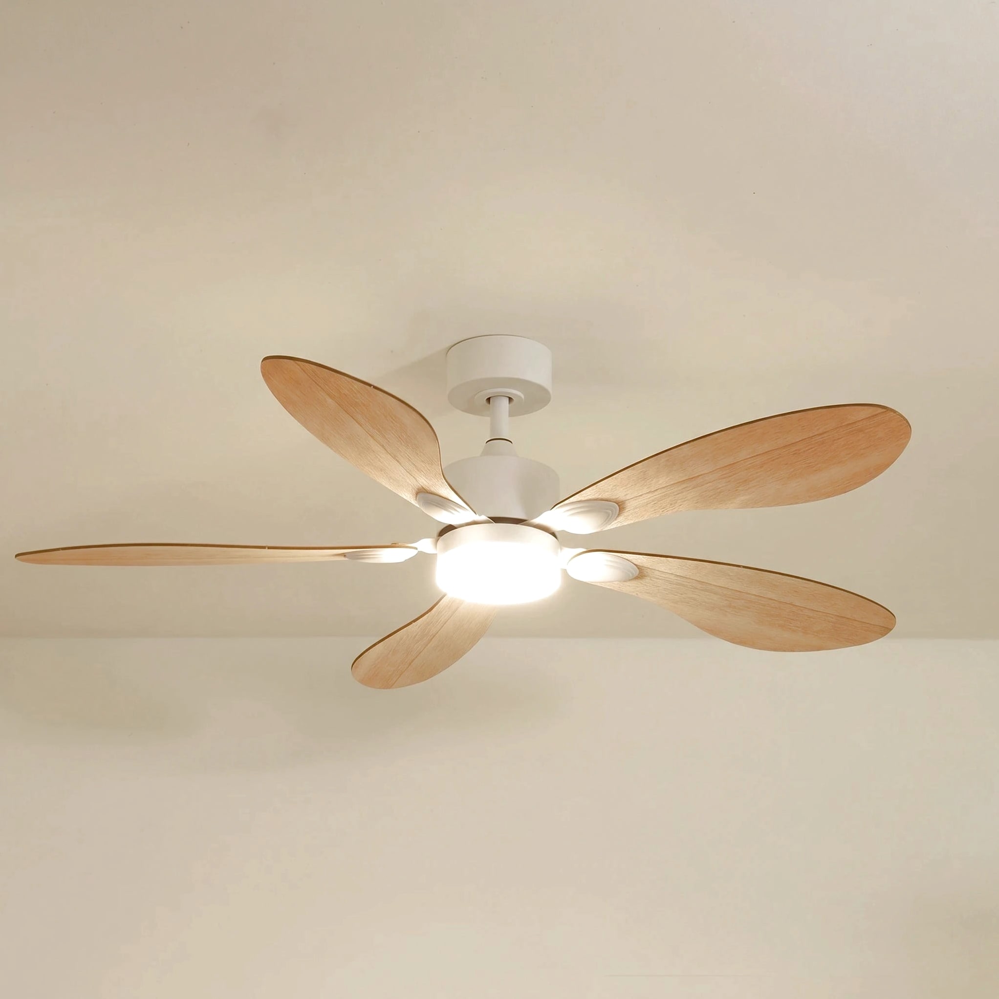 Libellule teinté Chêne | Ventilateur de plafond