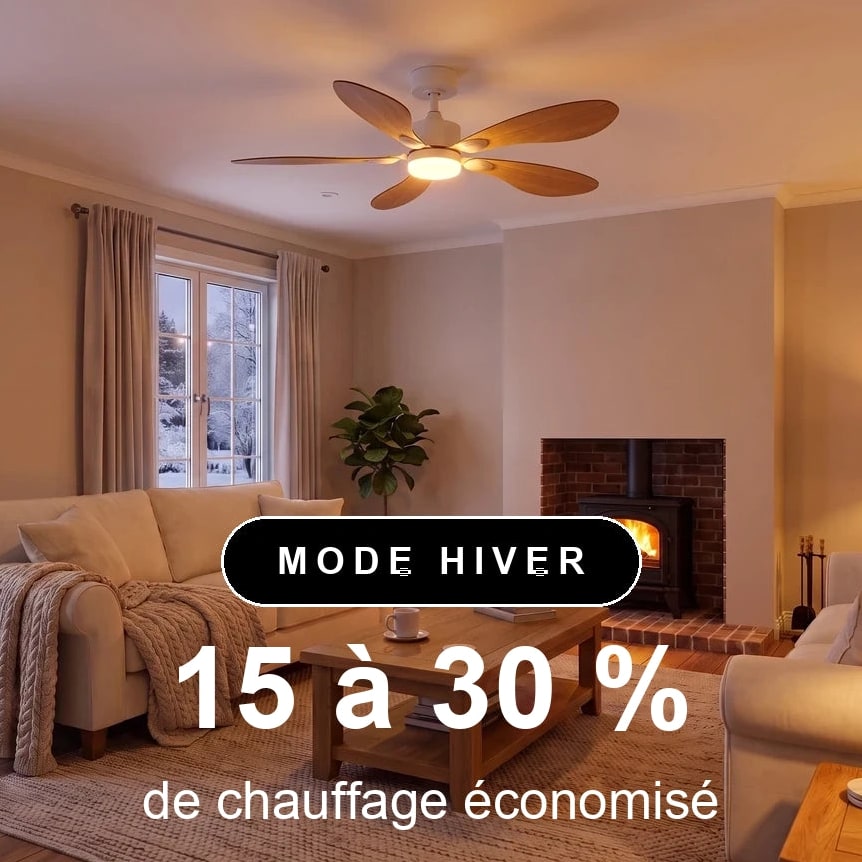 libellule scene hiver