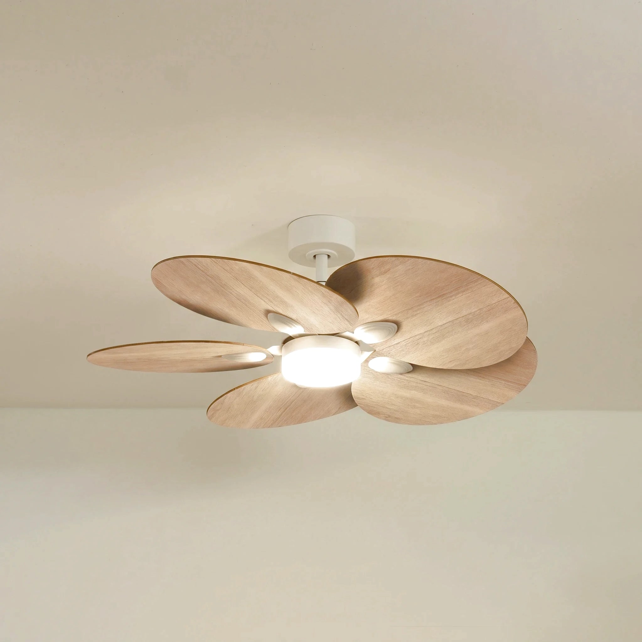 Lotus teinté Chêne | Ventilateur de plafond