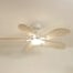 Plume | Ventilateur de plafond