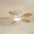 Plume teinté Chêne | Ventilateur de plafond