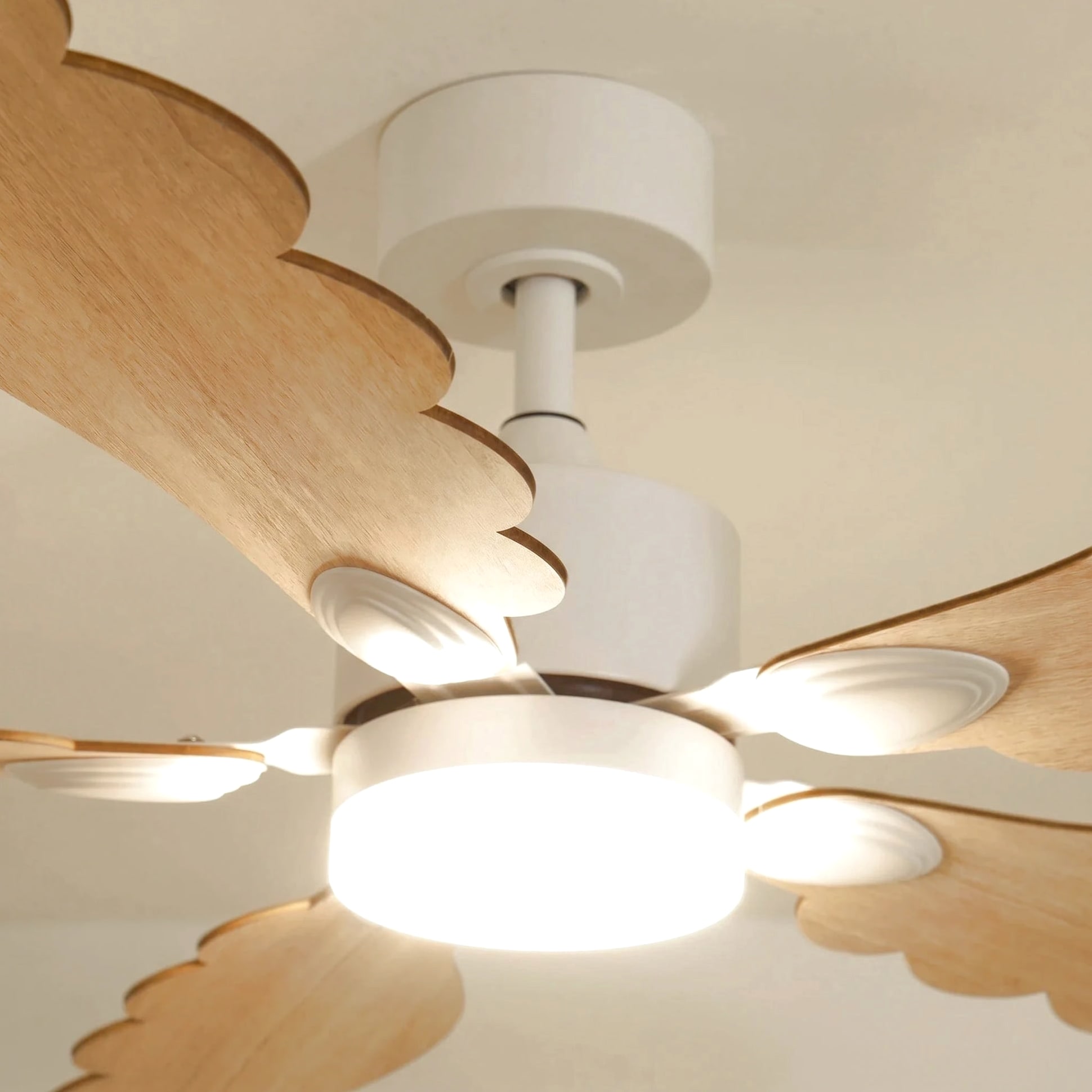 Plume teinté Chêne | Ventilateur de plafond