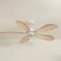 Plume teinté Chêne | Ventilateur de plafond