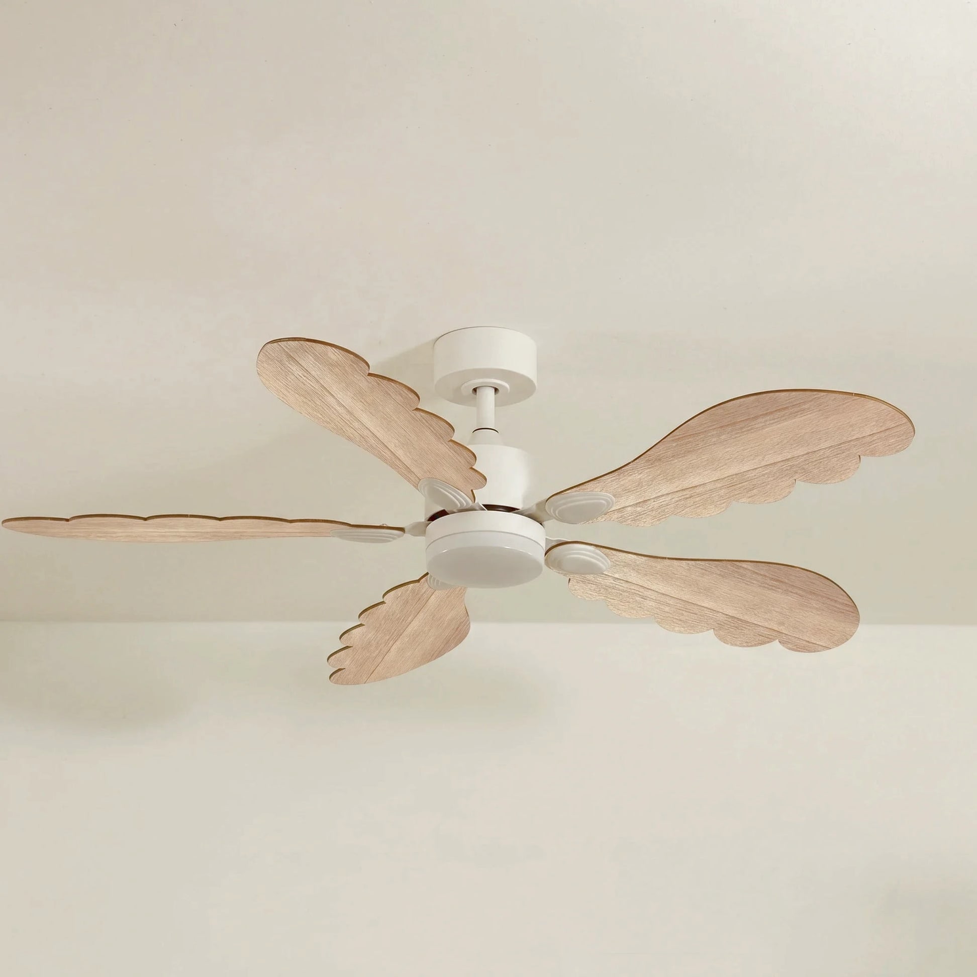 Plume teinté Chêne | Ventilateur de plafond