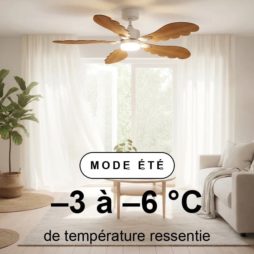 plume scene ete
