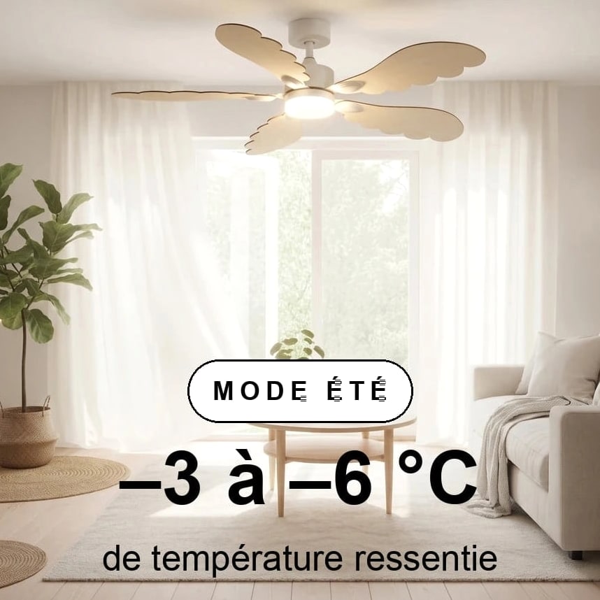 plume scene ete
