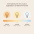 Libellule | Ventilateur de plafond