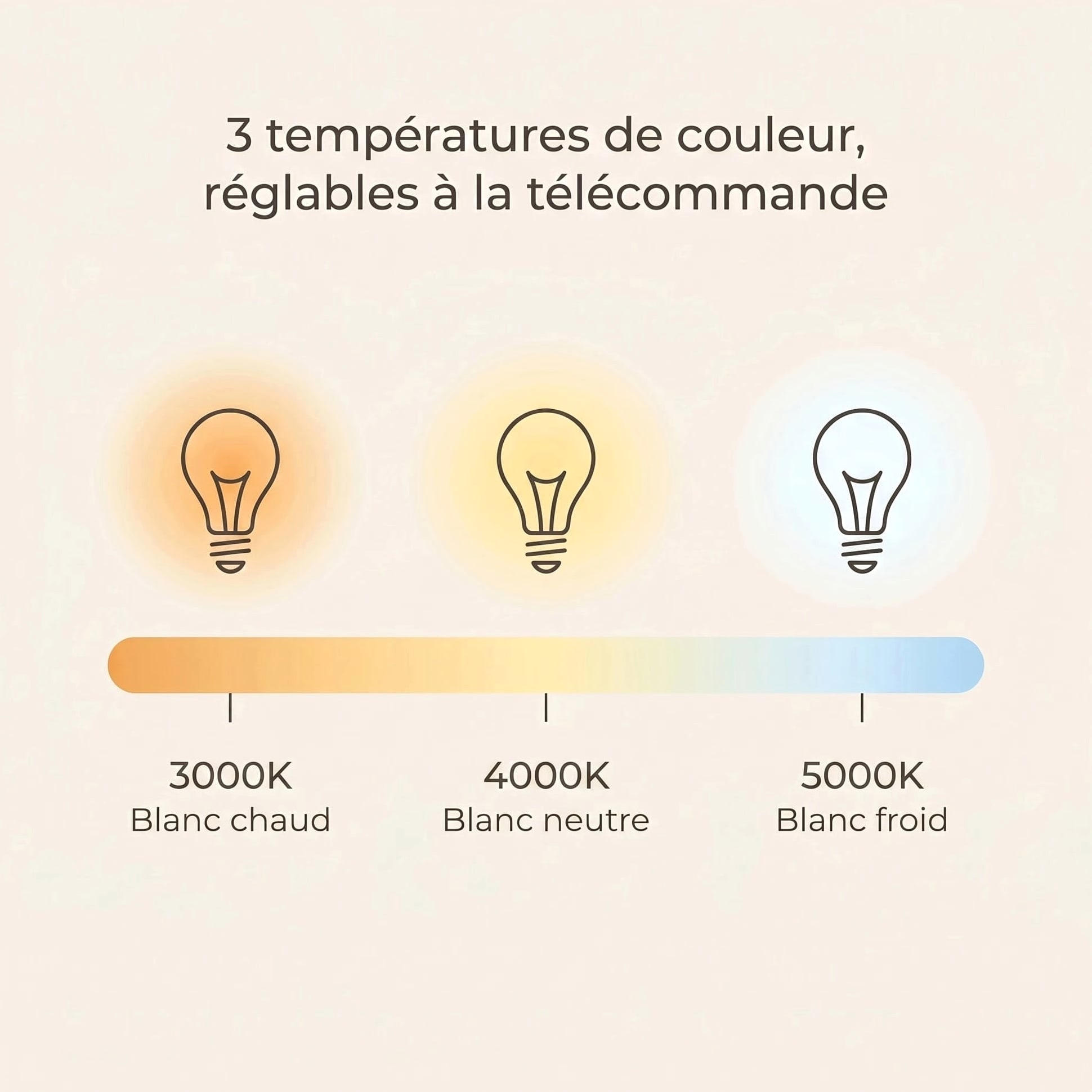 Plume | Ventilateur de plafond