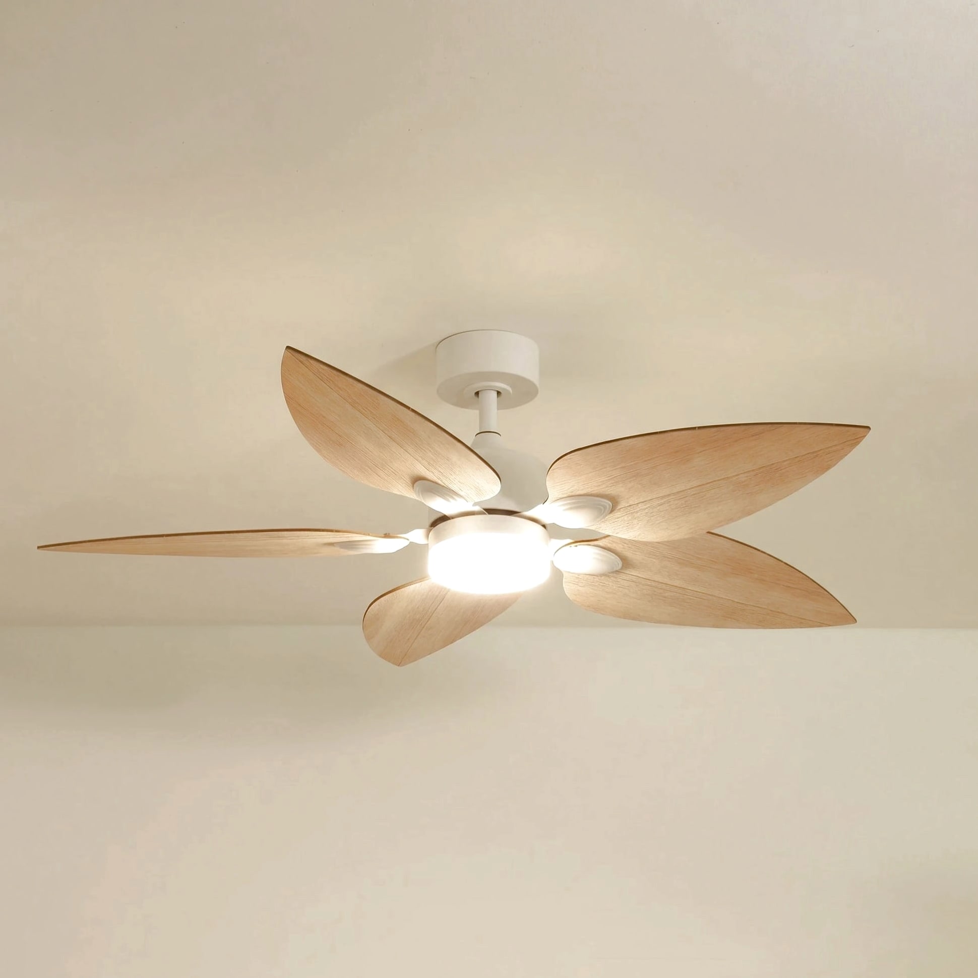 Virevole teinté Chêne | Ventilateur de plafond