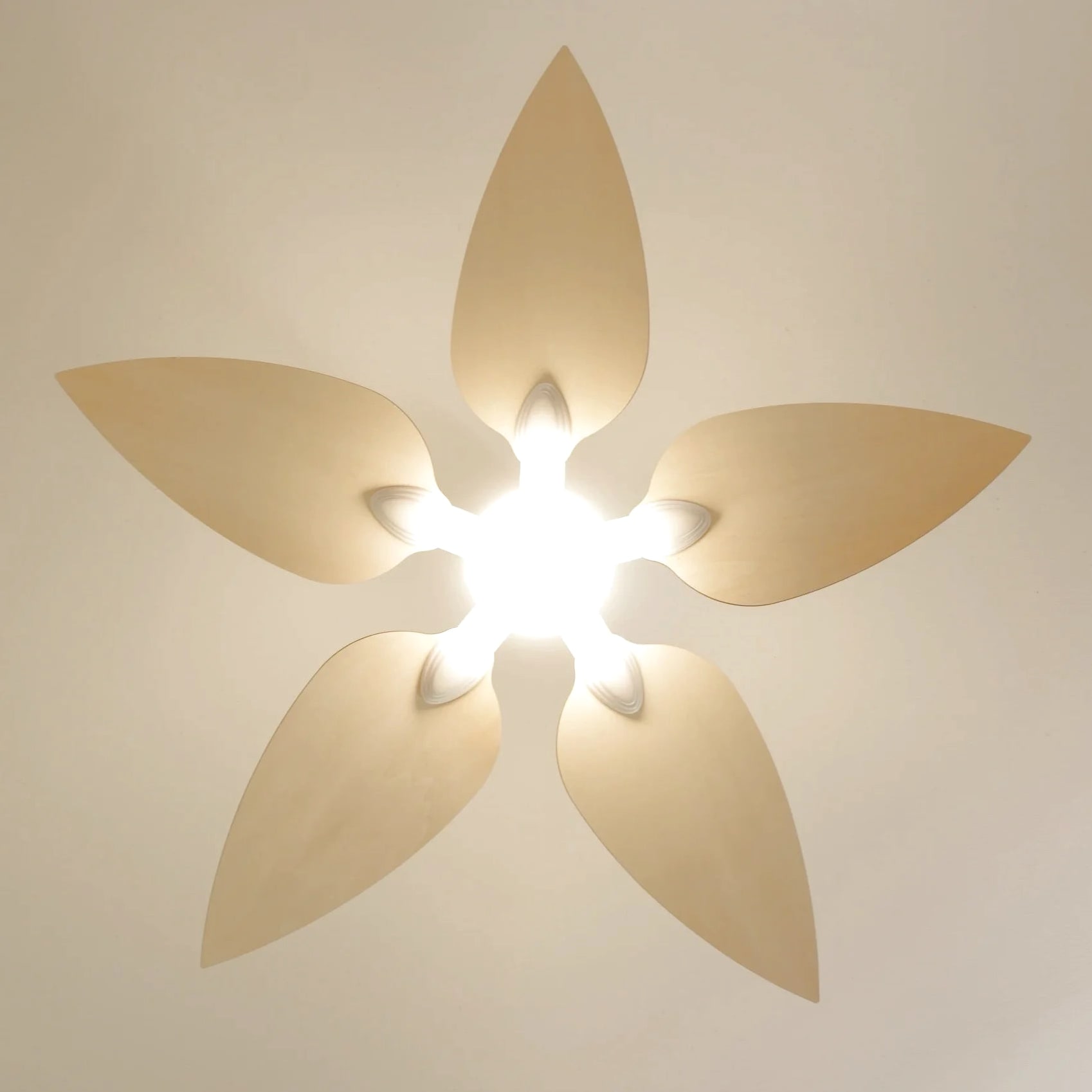Virevole | Ventilateur de plafond