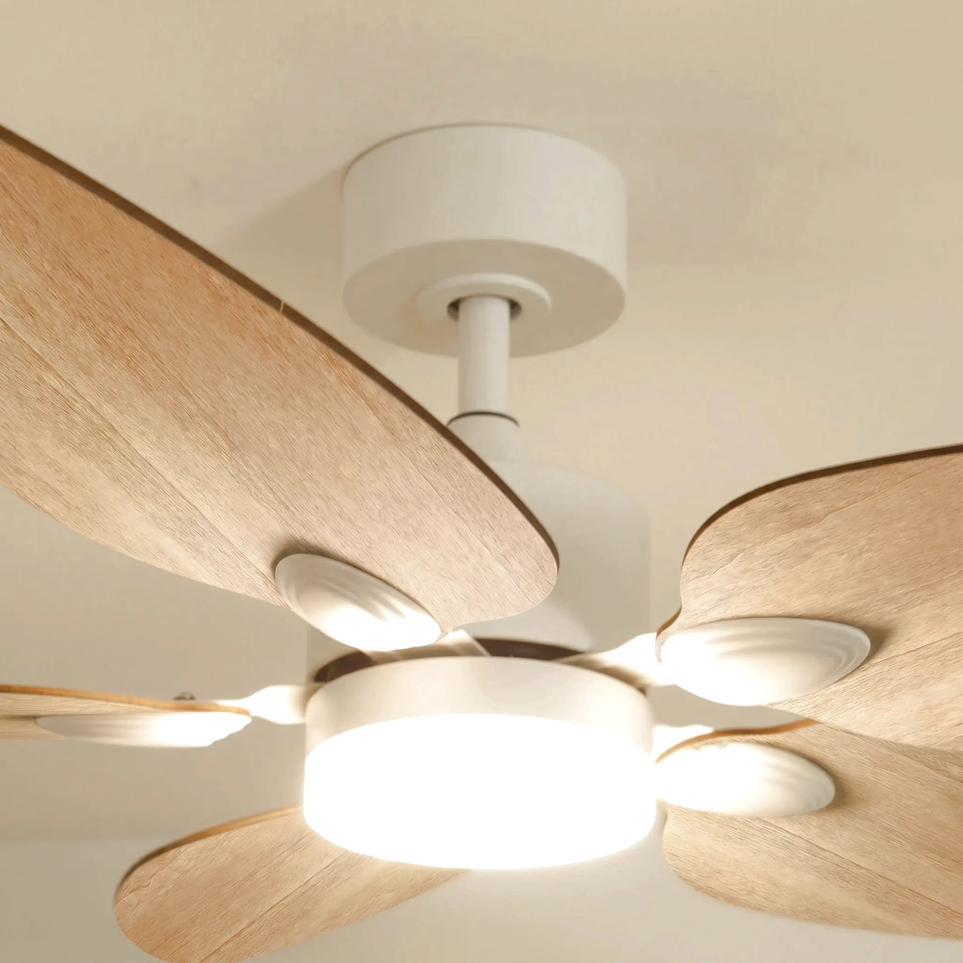 Virevole teinté Chêne | Ventilateur de plafond