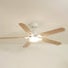 Zéphyr teinté Chêne | Ventilateur de plafond