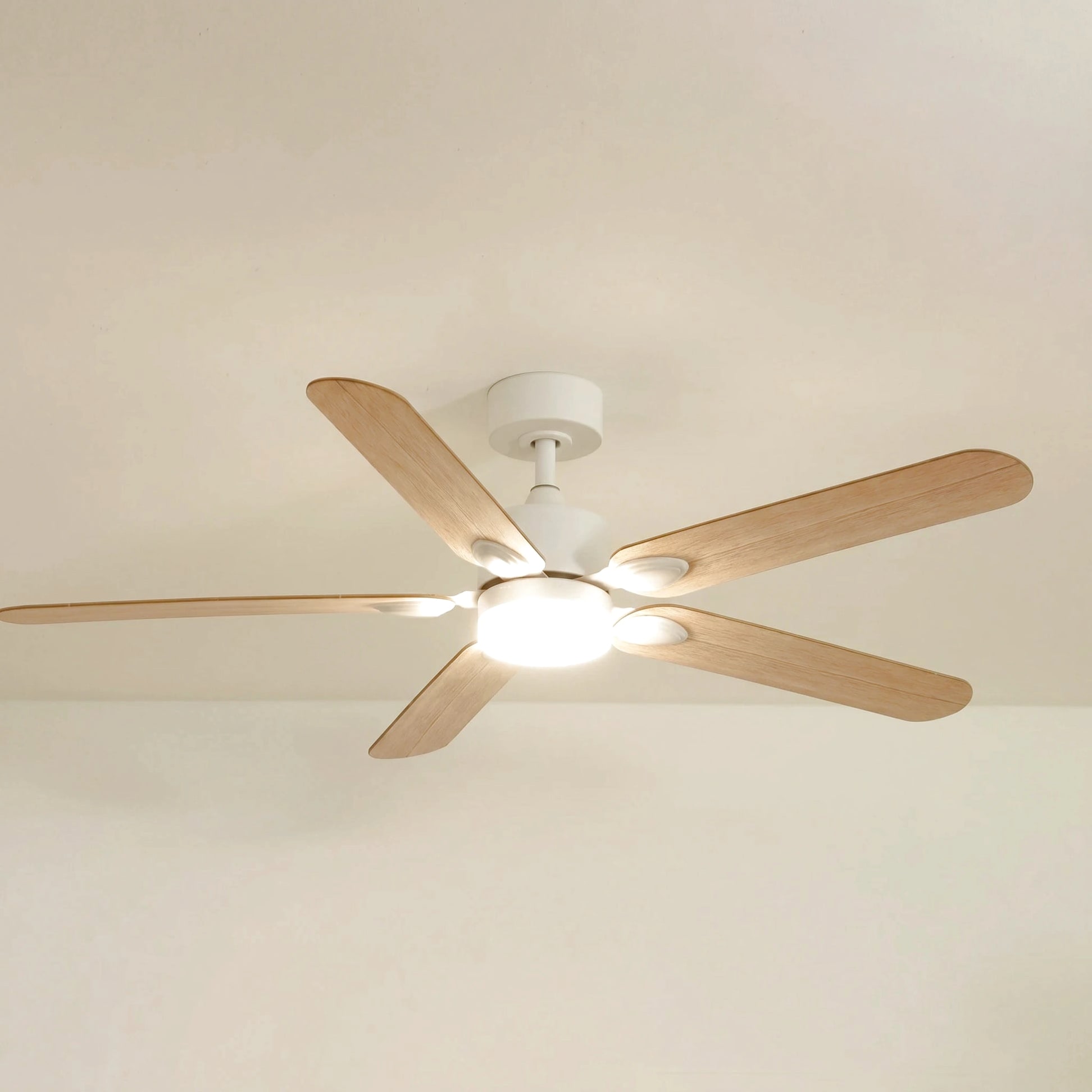 Zéphyr teinté Chêne | Ventilateur de plafond